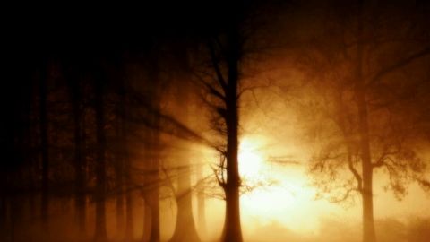 Luces de difuntos