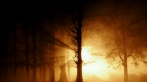 Luces de difuntos Luces de difuntos