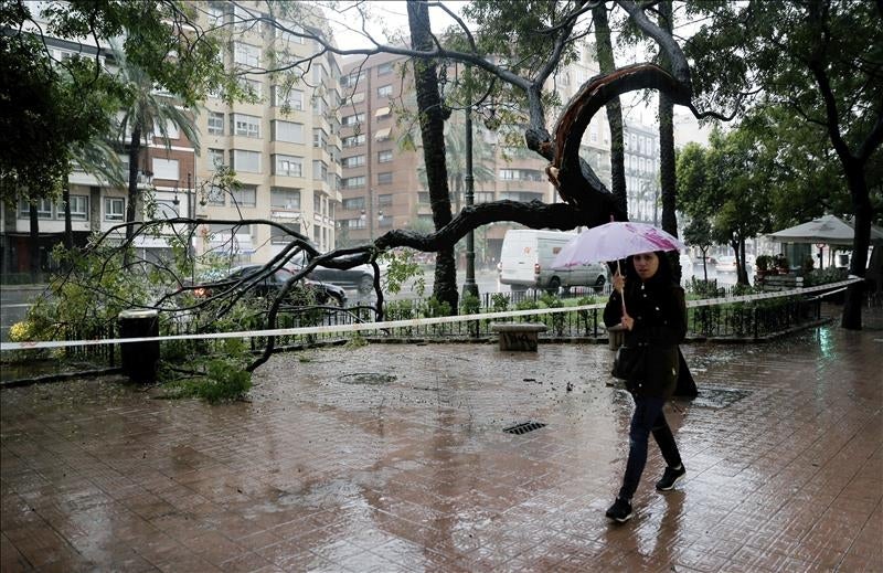 El temporal de levante obliga a cerrar los puertos de Gandía y Valencia El temporal de levante obliga a cerrar los puertos de Gandía y Valencia