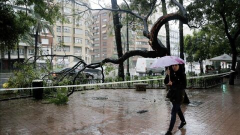 Im&aacute;genes del temporal en la Comunidad Valenciana