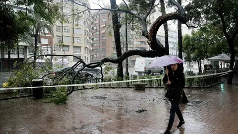Imágenes del temporal en la Comunidad Valenciana Imágenes del temporal en la Comunidad Valenciana