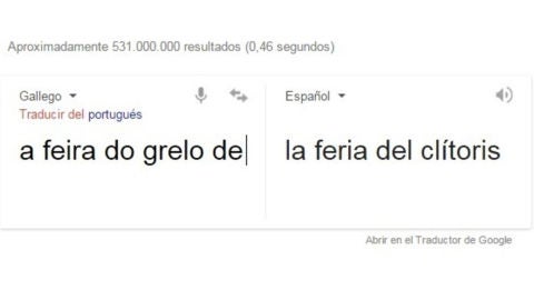 Imagen de la traducci&oacute;n de Google