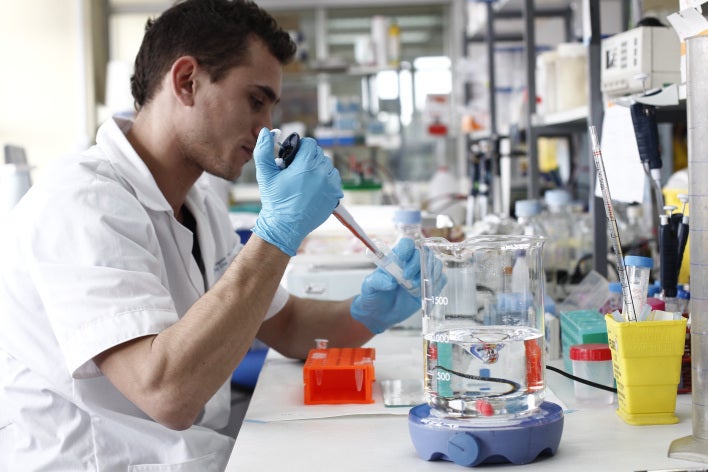 Fronteras del futuro: Células madre para curar lesiones, atrofias y distrofias musculares Fronteras del futuro: Células madre para curar lesiones, atrofias y distrofias musculares