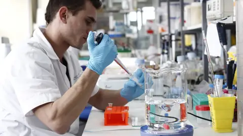 Descubren un gen que causa enfermedades neuropáticas y atrofias espinales Descubren un gen que causa enfermedades neuropáticas y atrofias espinales