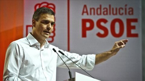 El l&iacute;der del PSOE, Pedro S&aacute;nchez