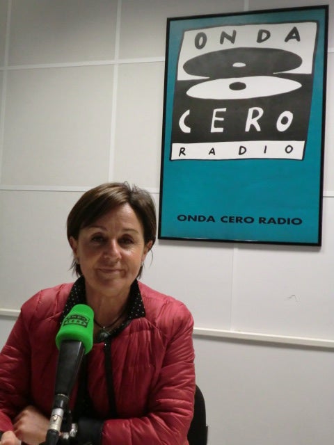 Gorostiaga cree que la Constitución necesita "un repaso" para añadir "nuevas realidades" Gorostiaga cree que la Constitución necesita "un repaso" para añadir "nuevas realidades"