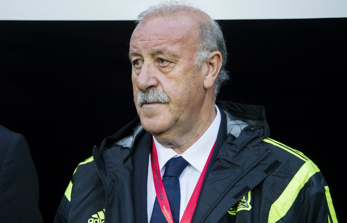 Del Bosque: "No creo que a los aficionados les interese mi futuro" Del Bosque: "No creo que a los aficionados les interese mi futuro"