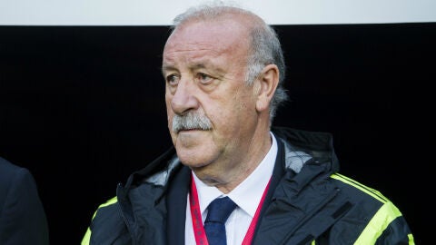 Del Bosque, en un partido con Espa&ntilde;a