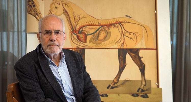 “Deja de mancillar una profesión como la veterinaria” “Deja de mancillar una profesión como la veterinaria”