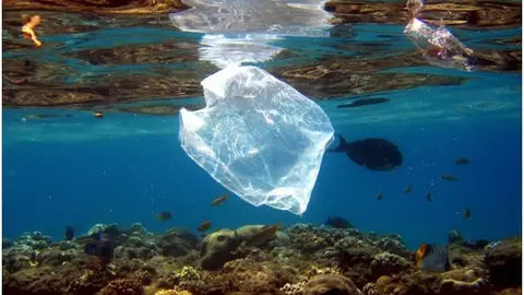 Las imágenes que muestran la destrucción de la biodiversidad Las imágenes que muestran la destrucción de la biodiversidad