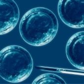 Las células madre podrían utilizarse en la medicina  regenerativa