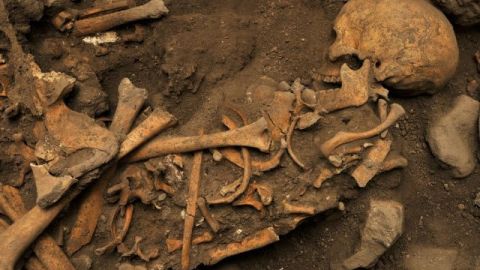 F&oacute;siles de hom&iacute;nidos descubiertos en la Cueva El Mirador, en Atapuerca