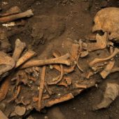 Fósiles de homínidos descubiertos en la Cueva El Mirador, en Atapuerca