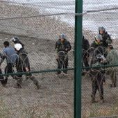 Un grupo de inmigrantes intenta saltar la valla de Ceuta