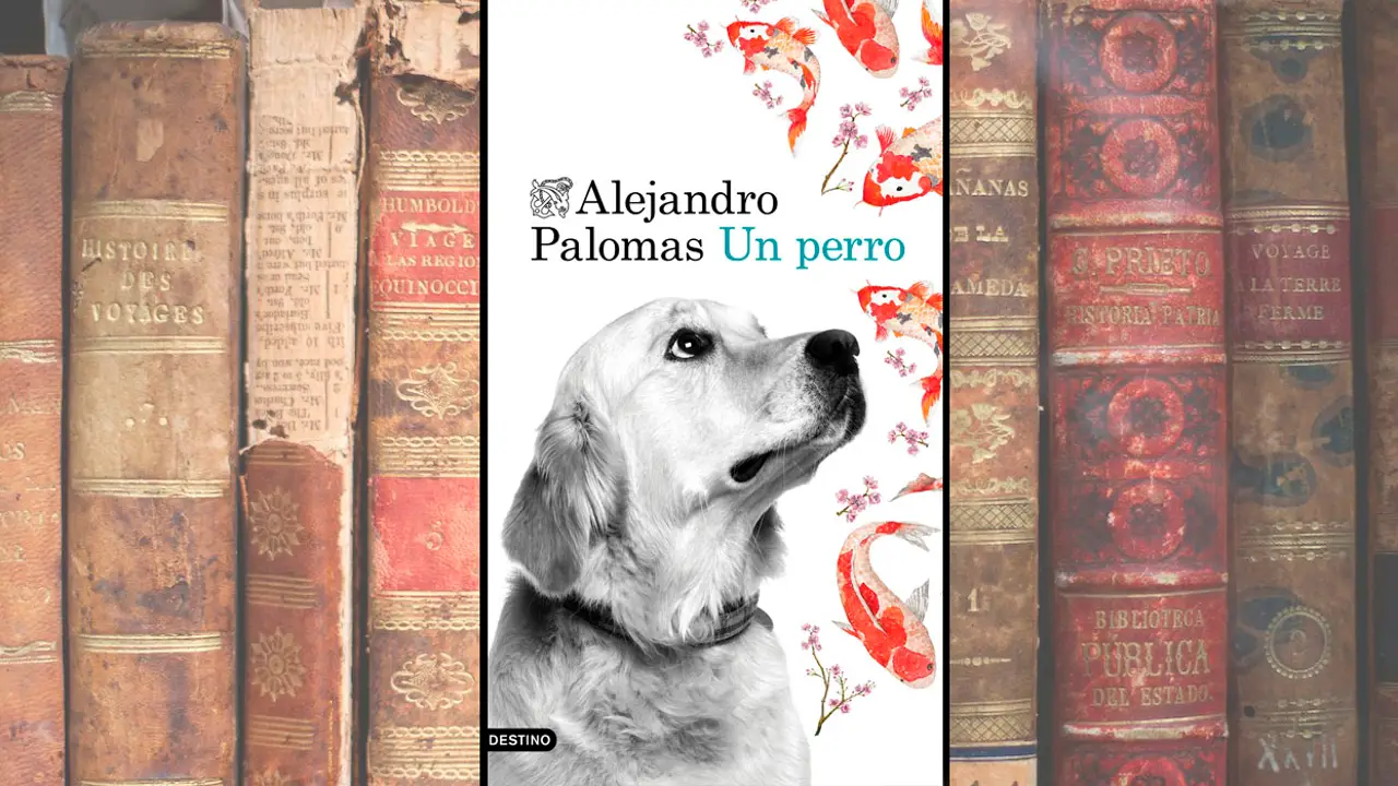 Un Perro, de Alejandro Palomas Un Perro, de Alejandro Palomas