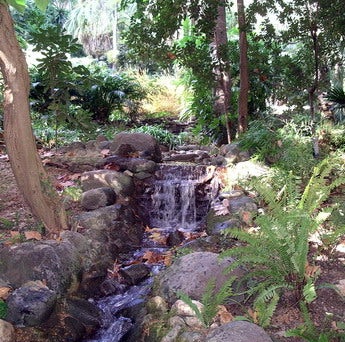 La Asociación Amigos del Botánico afirma que el problema de la mala conservación del jardín se debe a la falta de presupuesto La Asociación Amigos del Botánico afirma que el problema de la mala conservación del jardín se debe a la falta de presupuesto
