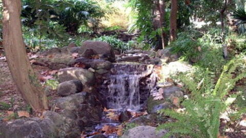 la concepci&oacute;n