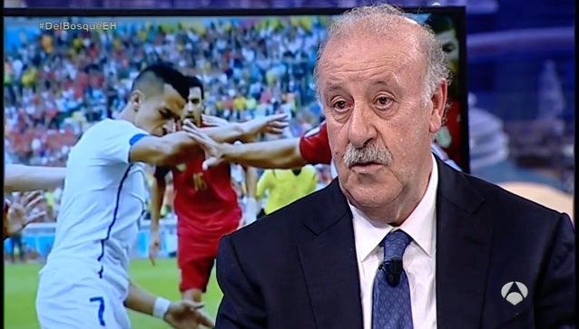 Del Bosque: "Lo normal es que deje el puesto tras la Eurocopa" Del Bosque: "Lo normal es que deje el puesto tras la Eurocopa"