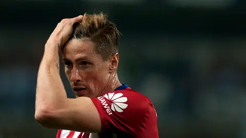 Fernando Torres Fernando Torres