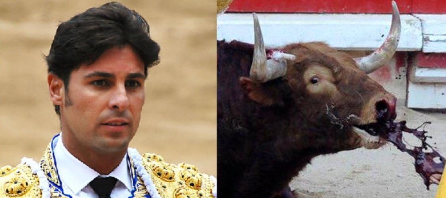 Polémica desatada por la foto de Fran Rivera. Polémica desatada por la foto de Fran Rivera.