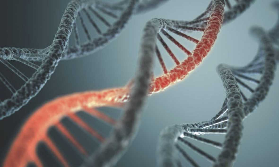 Cosas de la vida: ¿Cómo se almacena toda la información en nuestros genes? Cosas de la vida: ¿Cómo se almacena toda la información en nuestros genes?
