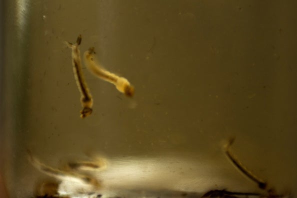 Pamplona en la Onda. 03/02/2016 Pamplona en la Onda. 03/02/2016