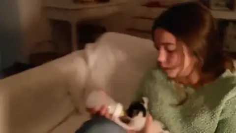 Frame 3.213149 de: ¿Qué haces mientras escuchas Te doy mi palabra? Frame 3.213149 de: ¿Qué haces mientras escuchas Te doy mi palabra?