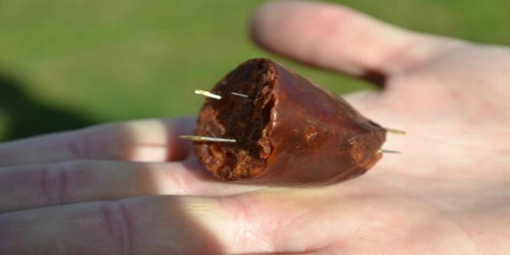 Un hombre de 79 años investigado por un delito animal por tirar carne con clavos Un hombre de 79 años investigado por un delito animal por tirar carne con clavos