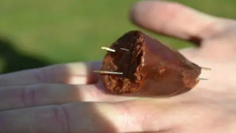 salchichas envenenadas salchichas envenenadas