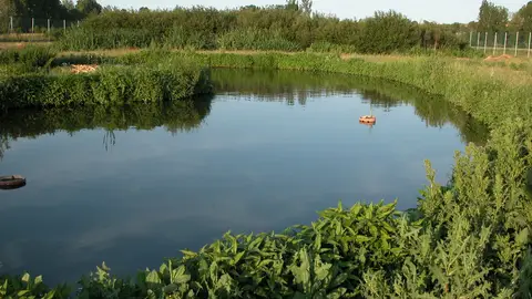 Imagen de archivo: aguas residuales. Estación de tratamiento de aguas residuales de Bustillo de Cea