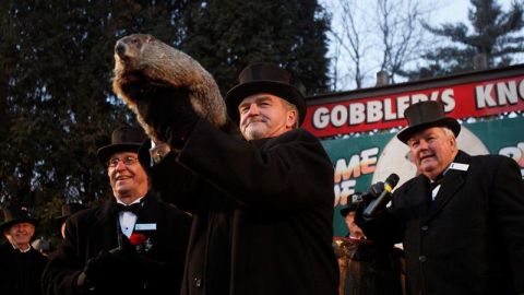 d&iacute;a de la marmota