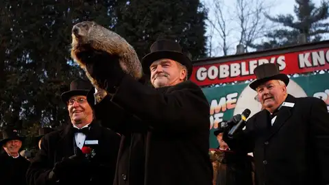 día de la marmota día de la marmota
