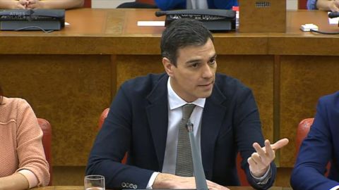 El secretario general del PSOE, Pedro S&aacute;nchez