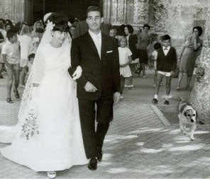Oyentes: "Tarzán, el perro que iba a los entierros y escuchaba misa" Oyentes: "Tarzán, el perro que iba a los entierros y escuchaba misa"
