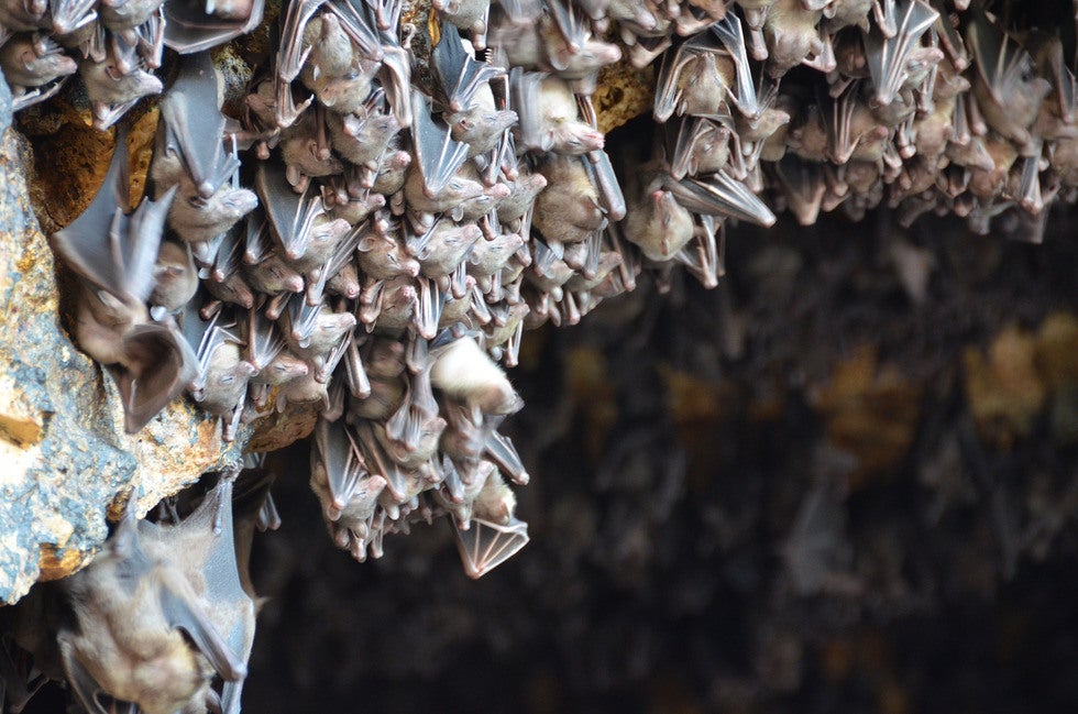 Alcalá de Henares en la onda 12/04/2018 Alcalá de Henares en la onda 12/04/2018