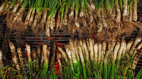Cal&ccedil;ots a la brasa