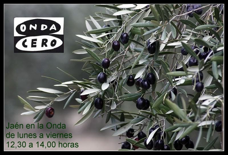 Jaén en la Onda con Nicolás Hidalgo y José Cortés 10/05/2017 Jaén en la Onda con Nicolás Hidalgo y José Cortés 10/05/2017