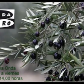 Jaén en la Onda Jaén en la Onda