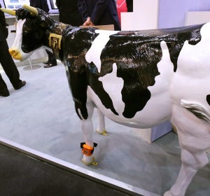 El wearable de la vaca de fujitsu El wearable de la vaca de fujitsu