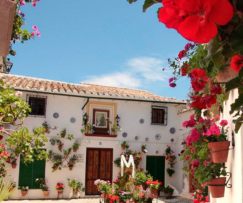 Más de Uno Córdoba. SOFÍA ELLAR. Más de Uno Córdoba. SOFÍA ELLAR.