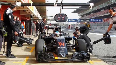 Fernando Alonso Fernando Alonso