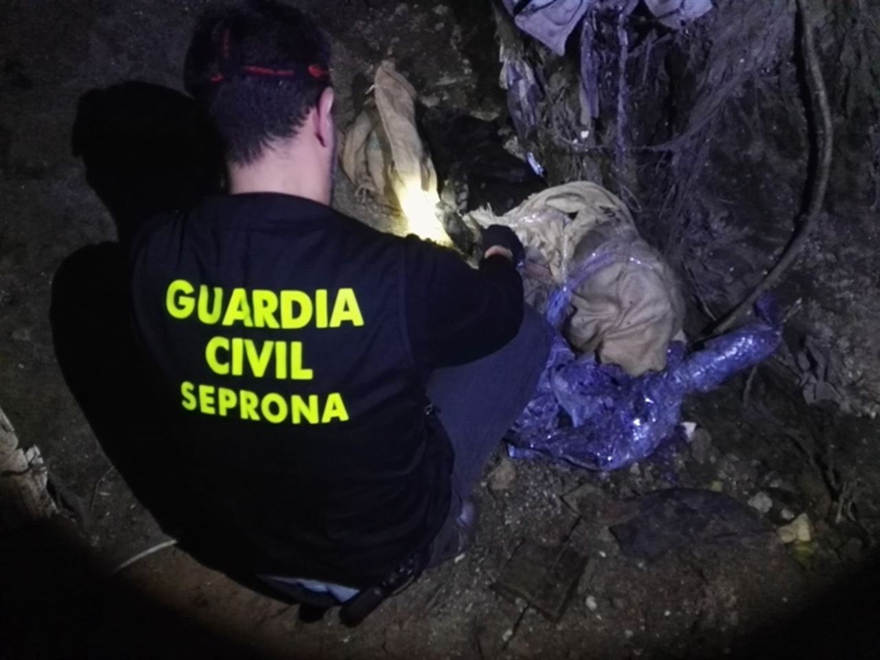Investigado por ahorcar a sus dos perros en localidad sevillana de Espartinas Investigado por ahorcar a sus dos perros en localidad sevillana de Espartinas