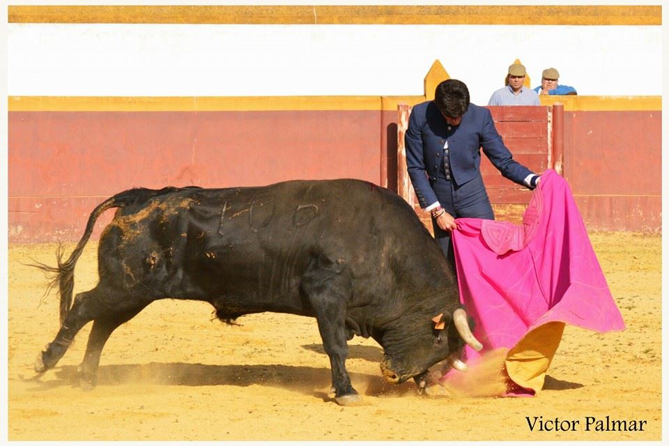 Los toros de Jaén en la onda 1/03/2016 Los toros de Jaén en la onda 1/03/2016