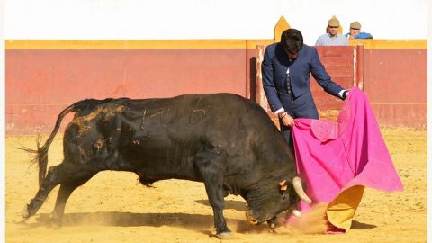 Curro Moreno