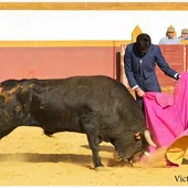 Curro Moreno Curro Moreno