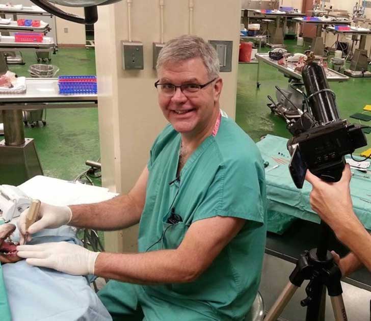 Tratamientos para la Leishmania para perros con insuficiencia renal Tratamientos para la Leishmania para perros con insuficiencia renal