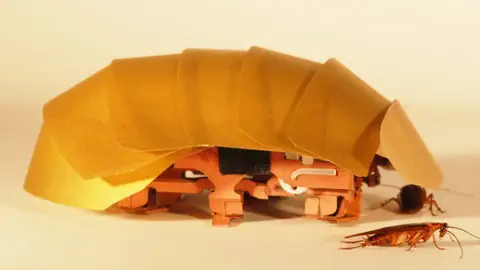 Robot-cucaracha Robot-cucaracha
