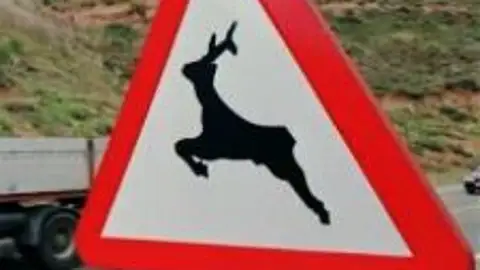 Señal de animales salvajes Señal de animales salvajes