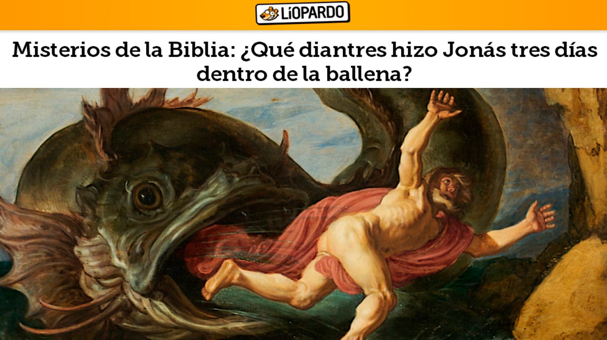 Internet: ¿Qué diantres hizo Jonás tres días dentro de la ballena? Internet: ¿Qué diantres hizo Jonás tres días dentro de la ballena?