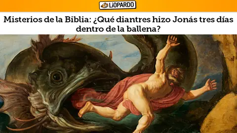¿Qué diantres hizo Jonás tres días dentro de la ballena? ¿Qué diantres hizo Jonás tres días dentro de la ballena?